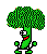 broccoli danseur